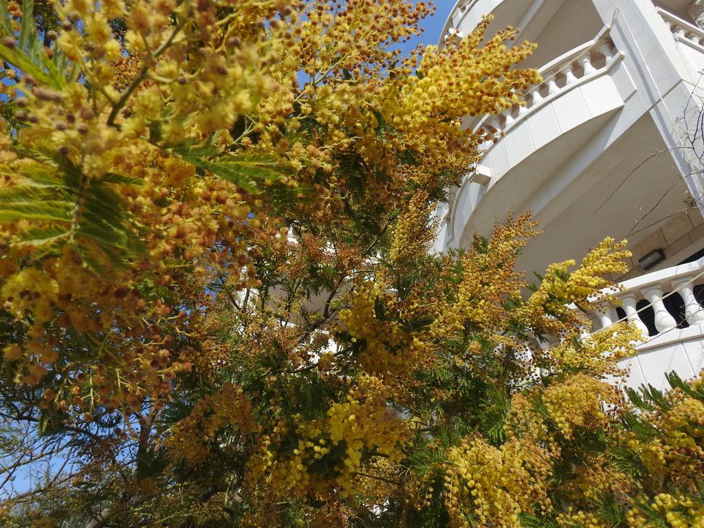 Apartments Villa Barbara سومارتين المظهر الخارجي الصورة