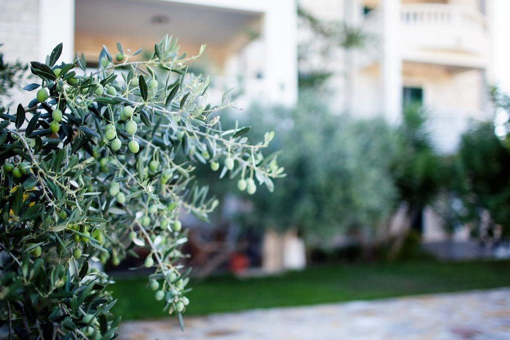 Apartments Villa Barbara سومارتين المظهر الخارجي الصورة